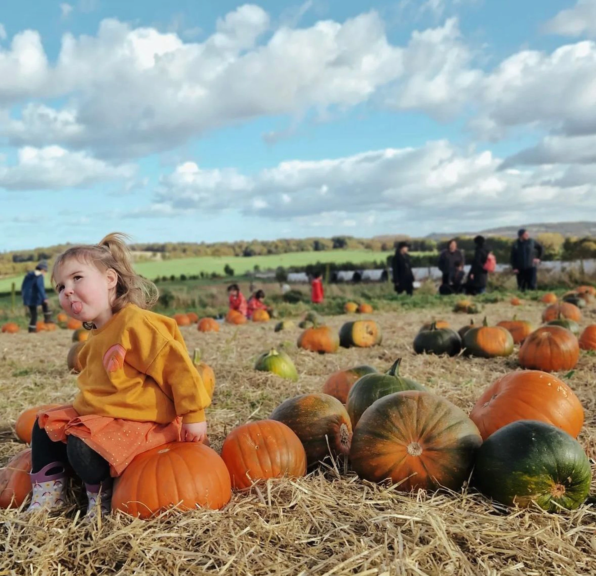 Background image - Craigies Pumpkin Festival