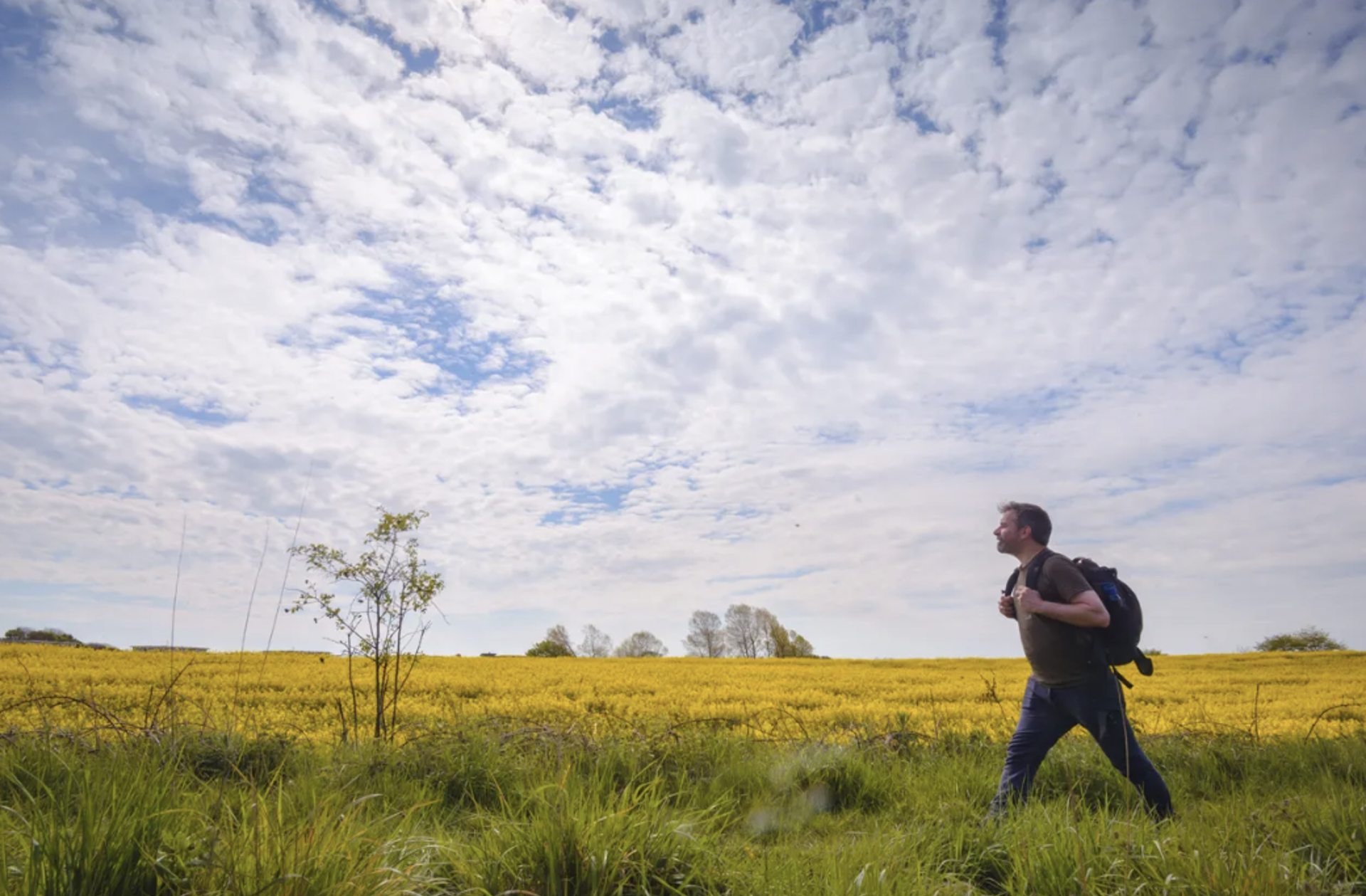 Background image - Fife Pilgrim Way | Visit Scotland