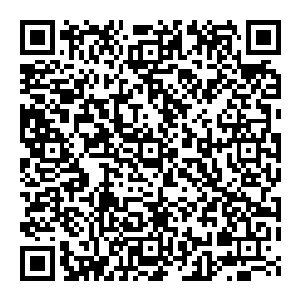 QR code for the Forth Bridge Management Plan Questionnaire June 2025
