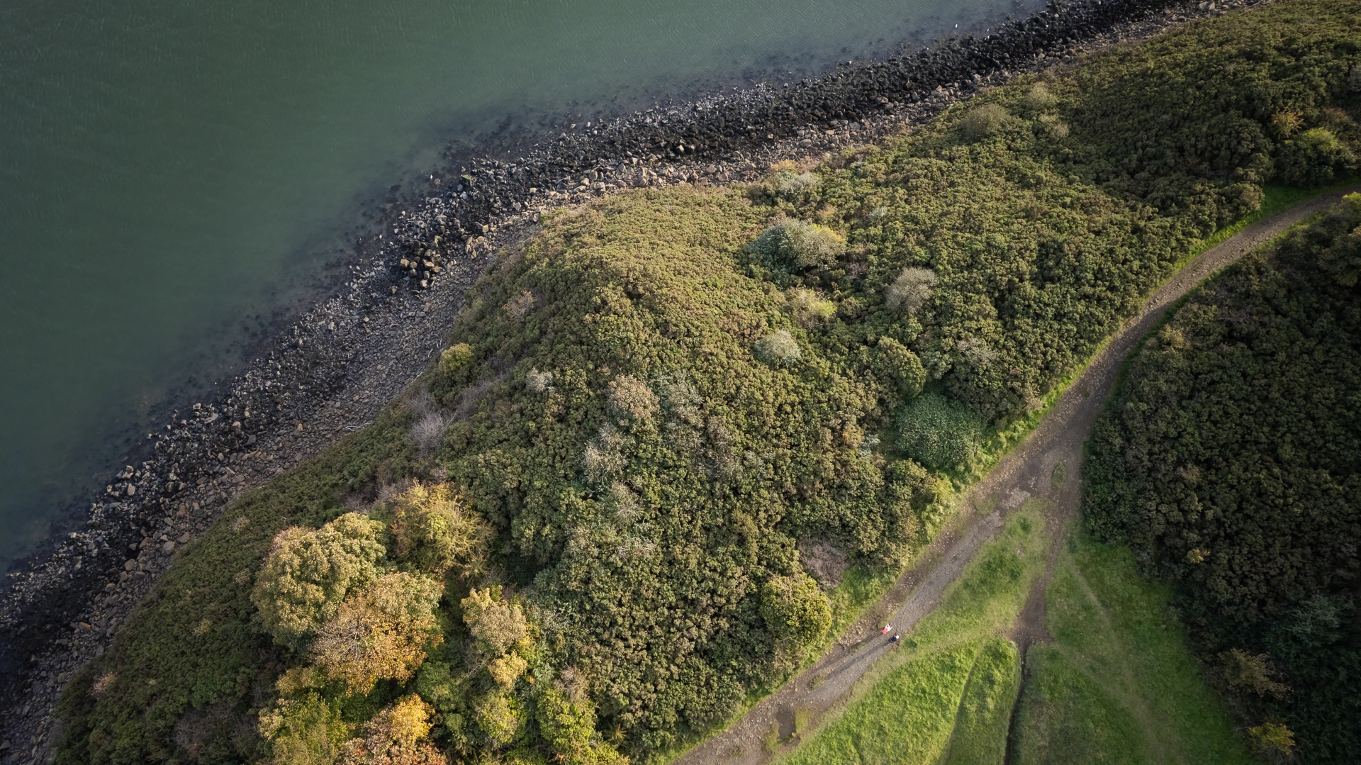 Background image - Drone view of cyclists at nature reserve